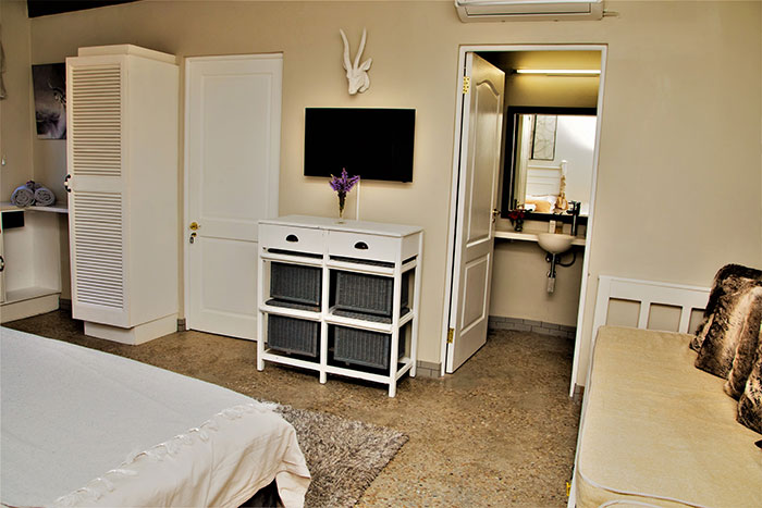 Spingbok Suite